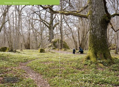 Familjens uteguide till Stockholm