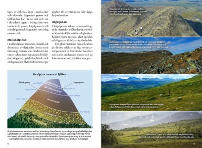 Flora för fjällvandrare
