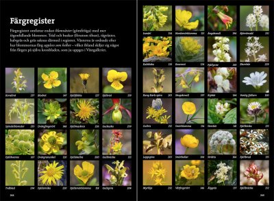 Flora för fjällvandrare