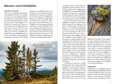 Fjällvandra kring Grövelsjön