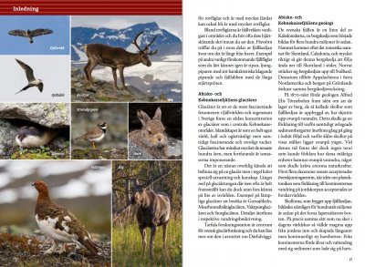 Fjällvandra kring Kebnekaise, Abisko och Riksgränsen