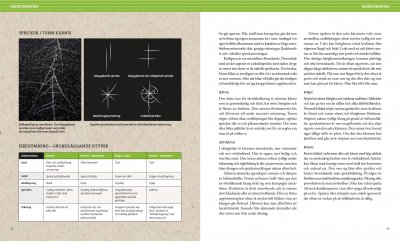 Stora boken om långfärdsskridskor