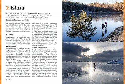 Stora boken om långfärdsskridsko