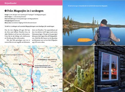 Fjällvandra i Vindelfjällen